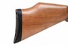 Diana Stormrider .22 (Regulator)