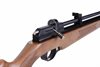 Diana Stormrider .22 (Regulator)